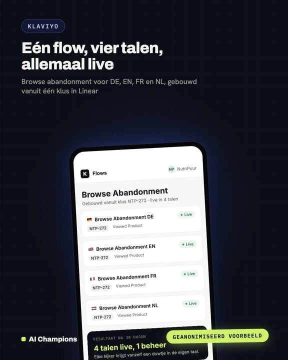 Voorbeeldkaart Klaviyo: een klus, vier talen, allemaal live